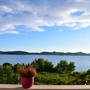 seaview-holiday-house-mali-rog.hotelinzadar.com/